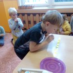 phoca_thumb_m_zajci a vtr 41 Fotogalerie